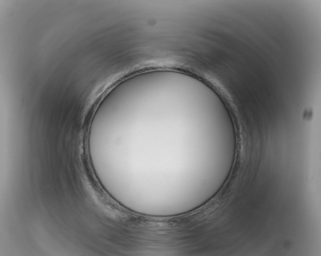 X0000114400486200910161059