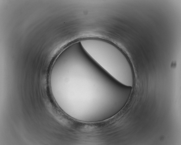 X0000114400487200910161059