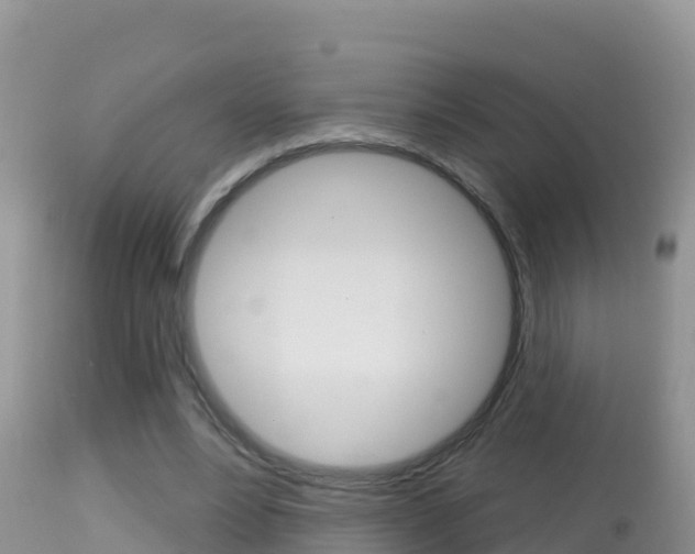 X0000114400488200910161059