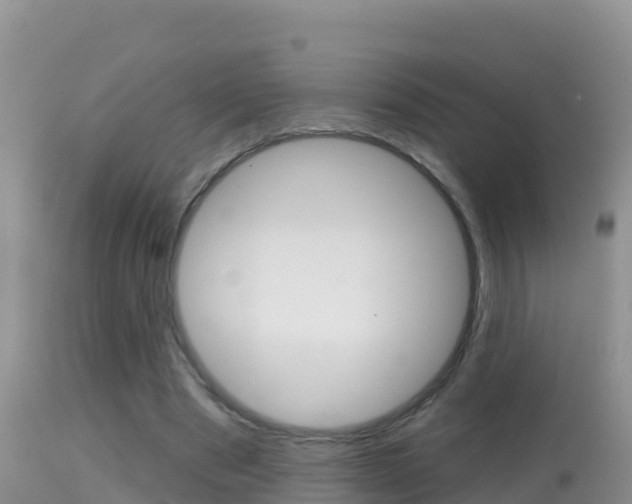 X0000114400489200910161059