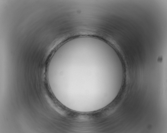 X0000114400490200910161059