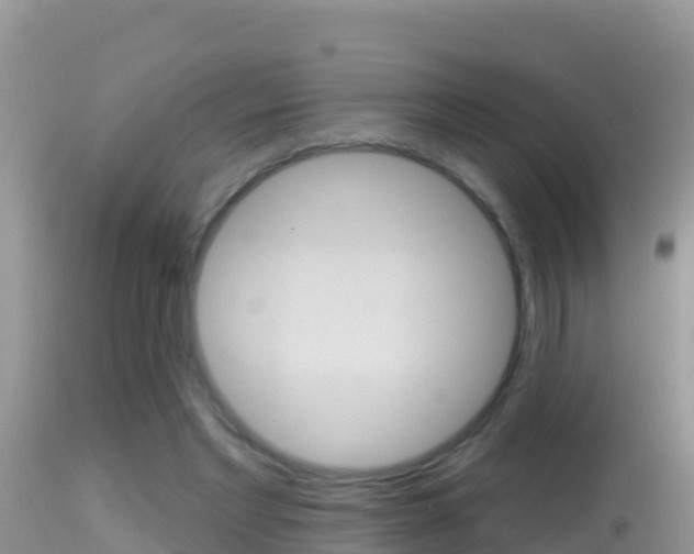 X0000114400493200910161059