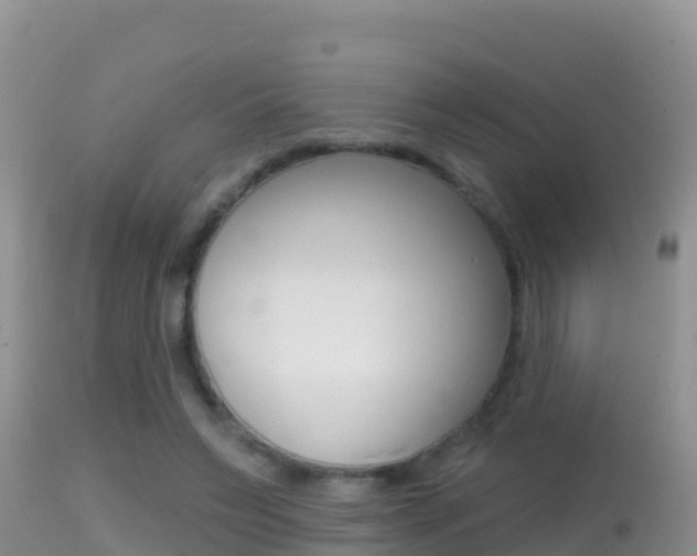 X0000114400495200910161059