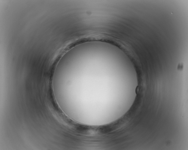 X0000114400496200910161059
