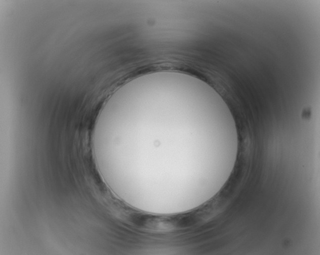 X0000114400498200910161059