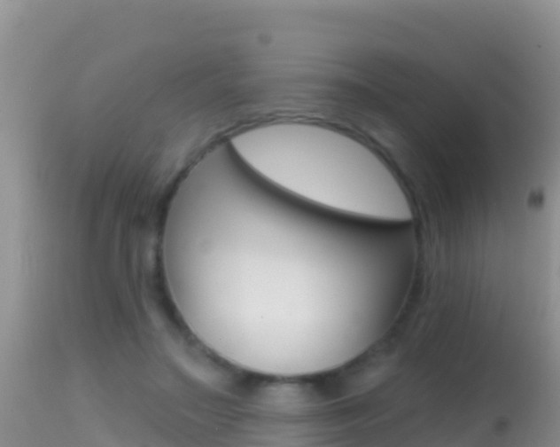 X0000114400499200910161059