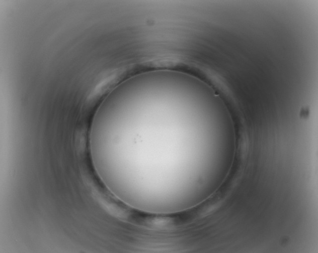 X0000114400501200910161059