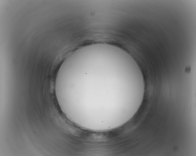 X0000114400502200910161059
