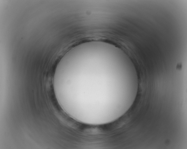 X0000114400503200910161059