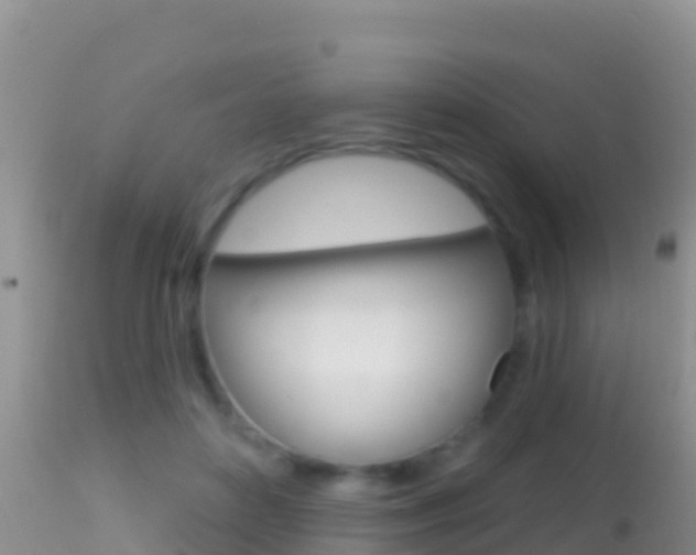 X0000114400504200910161059