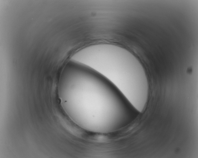 X0000114400509200910161059