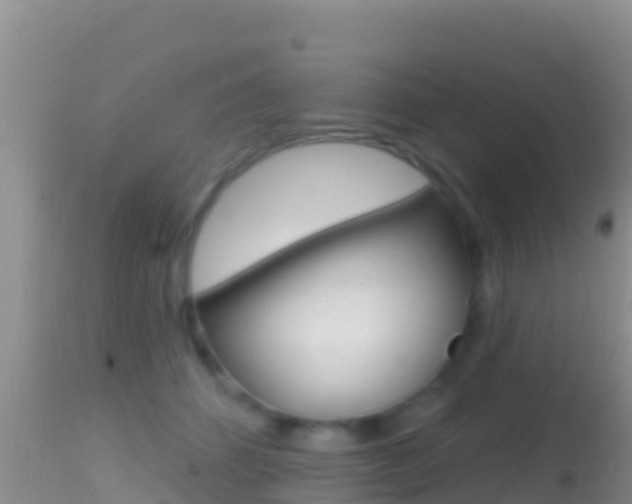 X0000114400512200910161059
