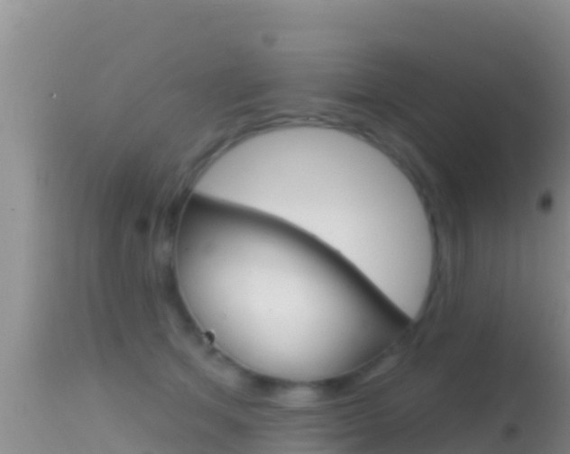 X0000114400513200910161059