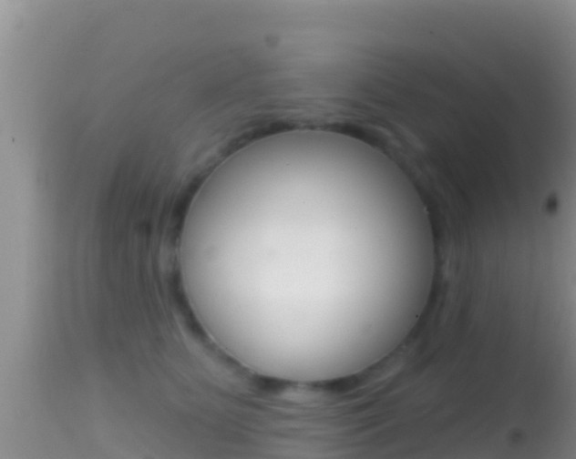 X0000114400515200910161059