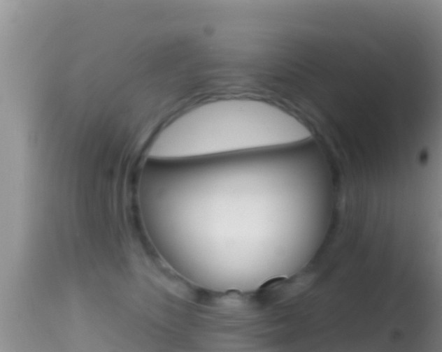 X0000114400516200910161059
