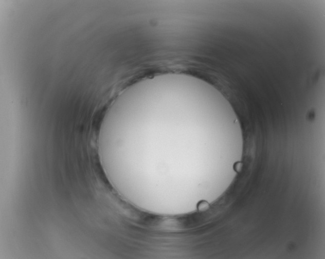 X0000114400518200910161059