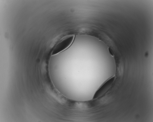 X0000114400520200910161059