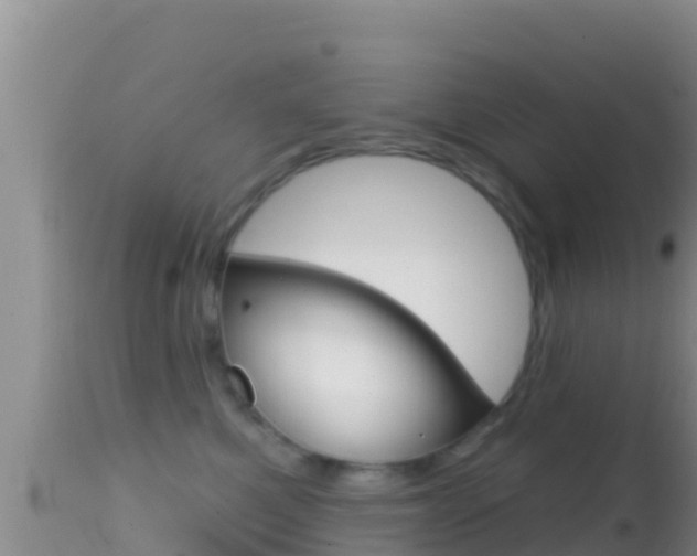 X0000114400521200910161059