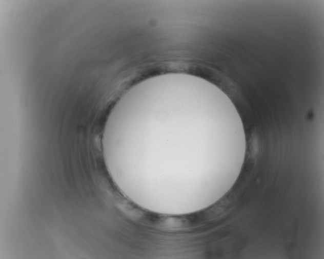 X0000114400522200910161059