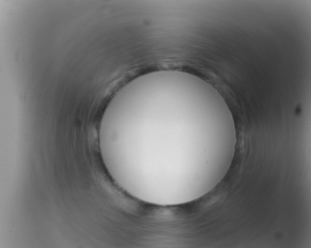 X0000114400523200910161059