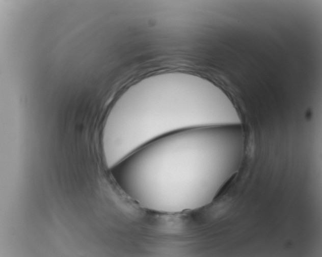 X0000114400524200910161059