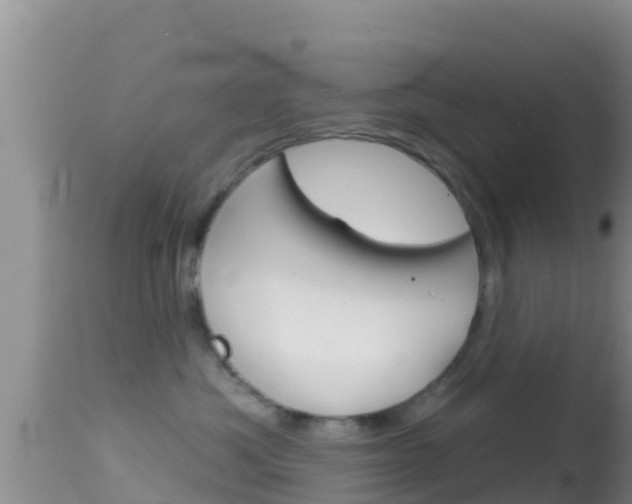X0000114400525200910161059