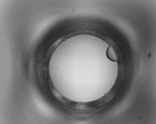 X0000114400526200910161059