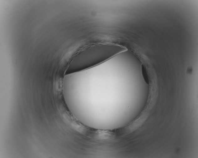 X0000114400528200910161059