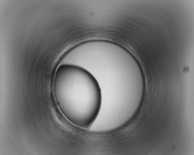 X0000114400530200910161058