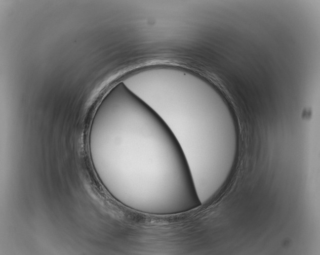 X0000114400531200910161058