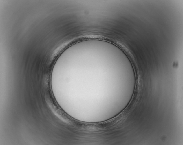 X0000114400533200910161058