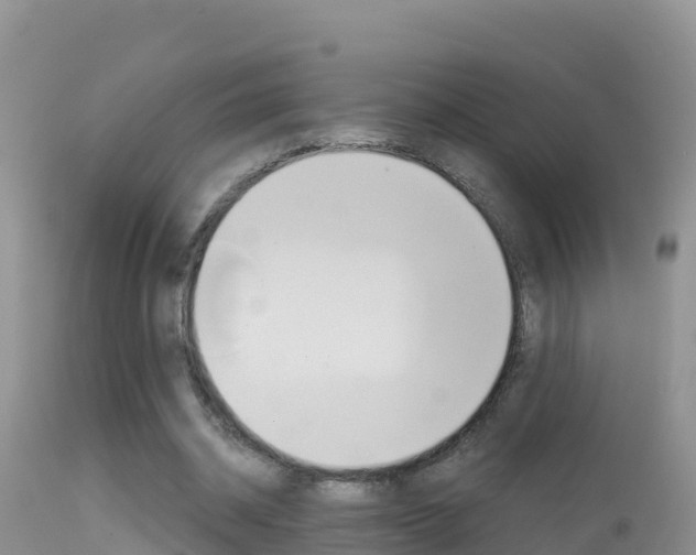 X0000114400534200910161058