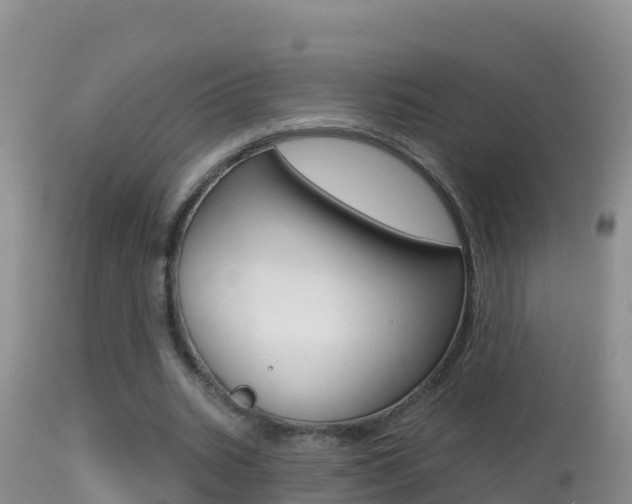 X0000114400535200910161058
