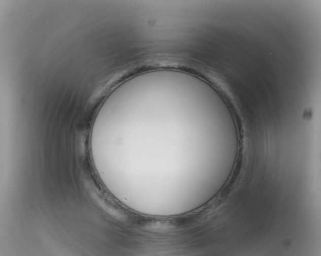 X0000114400537200910161058