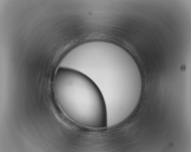 X0000114400538200910161058