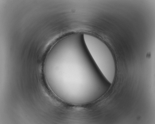 X0000114400539200910161058