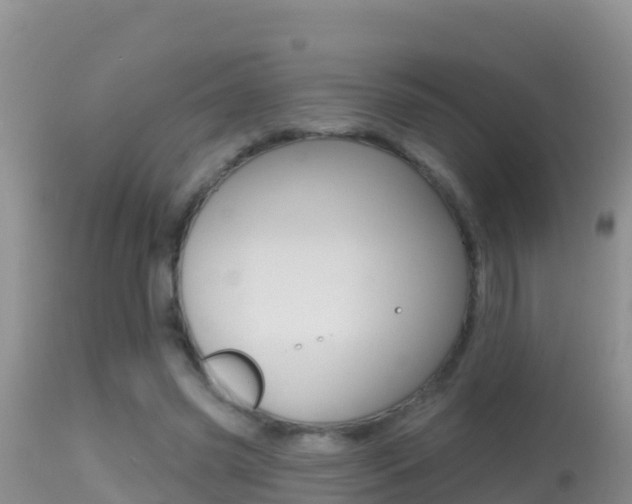 X0000114400541200910161058