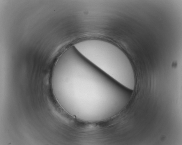 X0000114400543200910161058