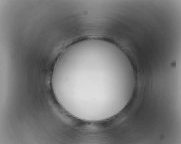X0000114400545200910161058