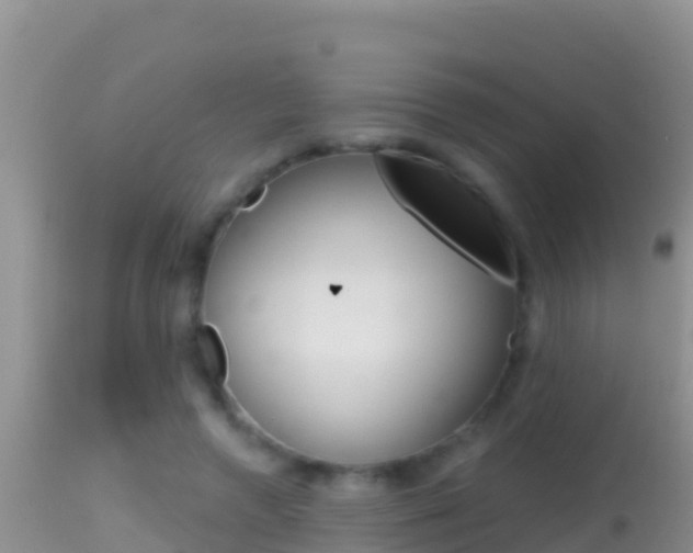 X0000114400546200910161058