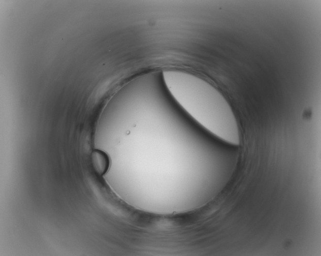X0000114400547200910161058