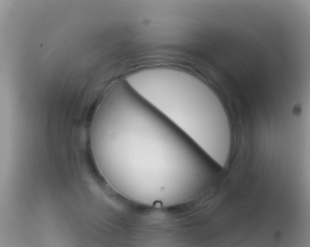 X0000114400551200910161058