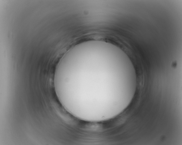 X0000114400553200910161058