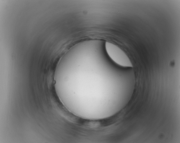 X0000114400554200910161058