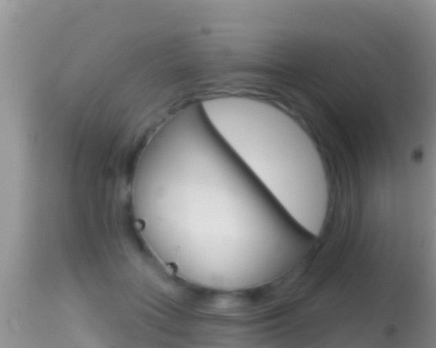 X0000114400555200910161058