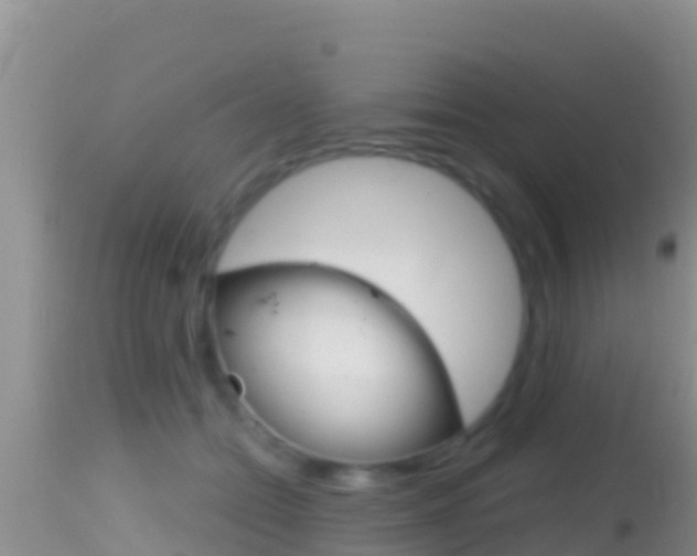 X0000114400558200910161058