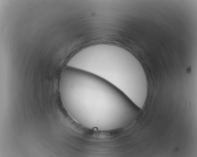 X0000114400559200910161058