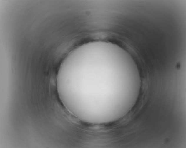 X0000114400561200910161058