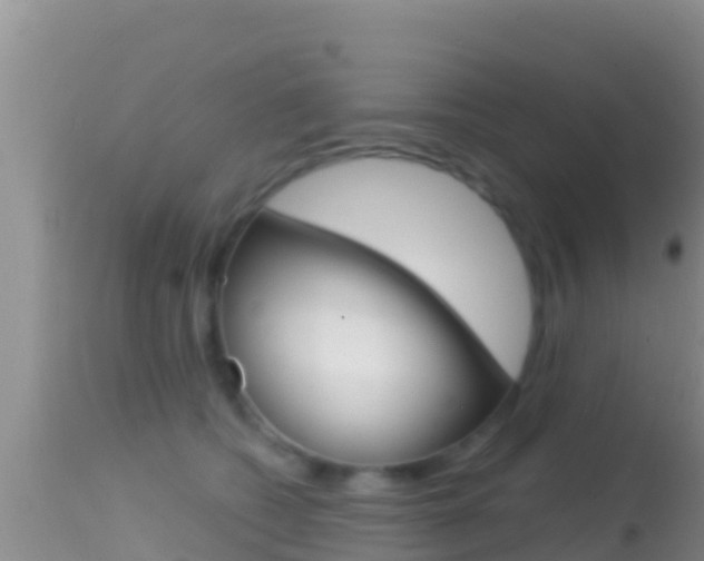 X0000114400562200910161058
