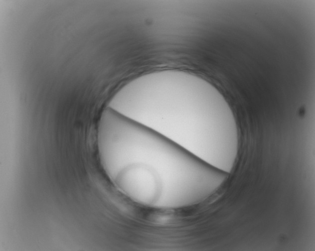 X0000114400563200910161058